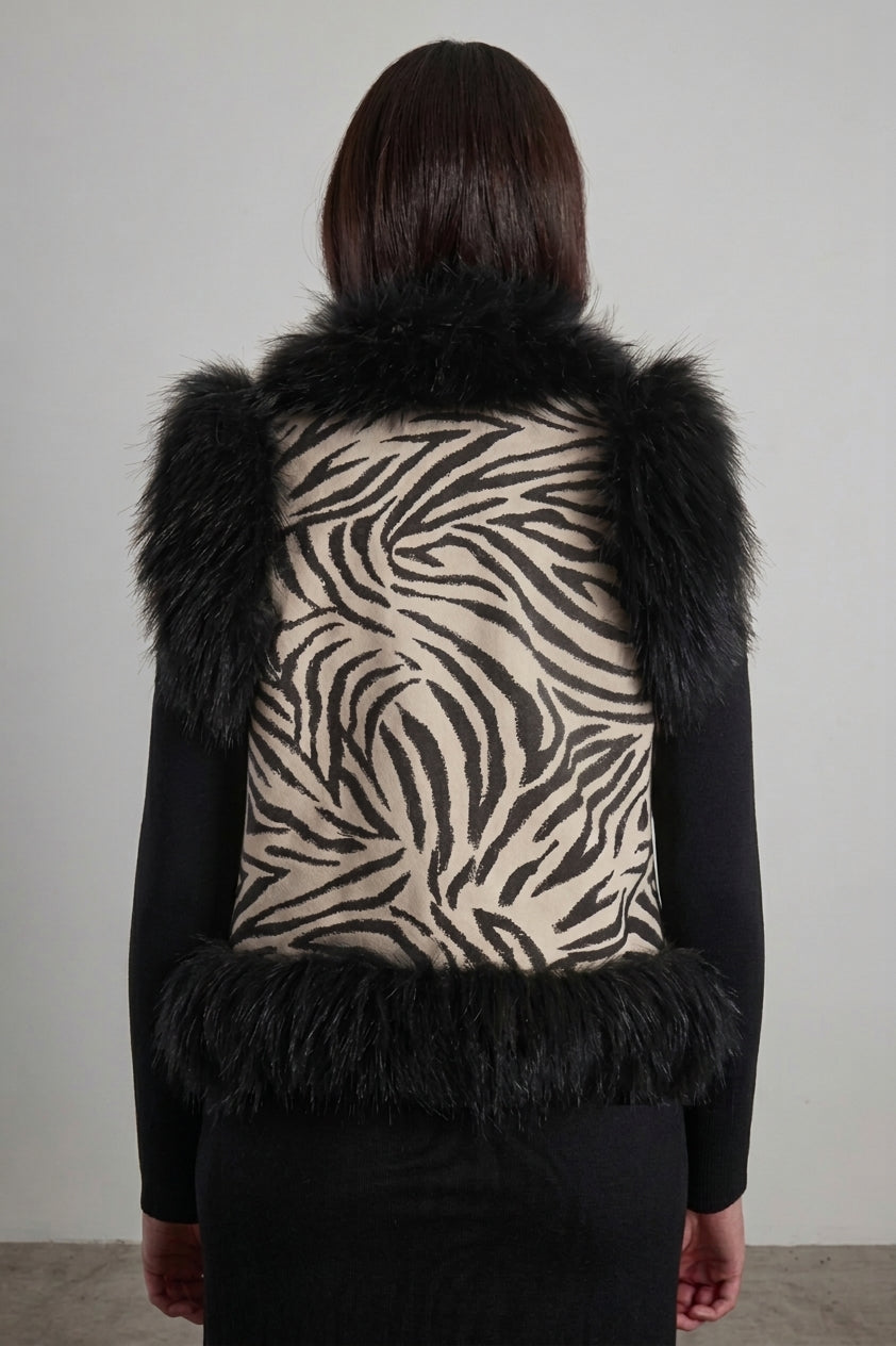 Domus